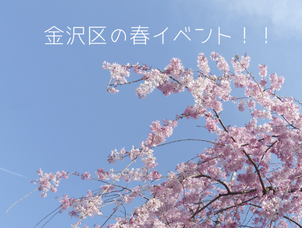 金沢区の春イベント!!
